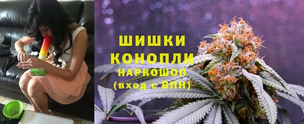 сатива Богородск