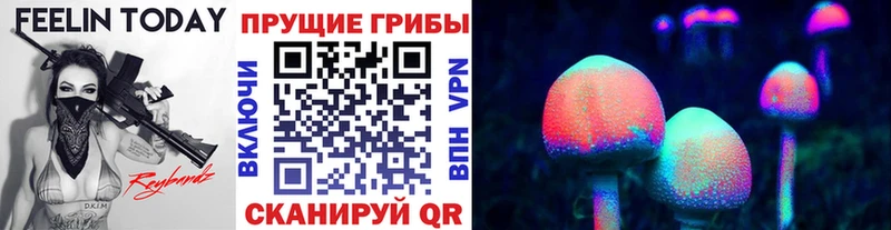 Галлюциногенные грибы GOLDEN TEACHER  kraken маркетплейс  Мензелинск 